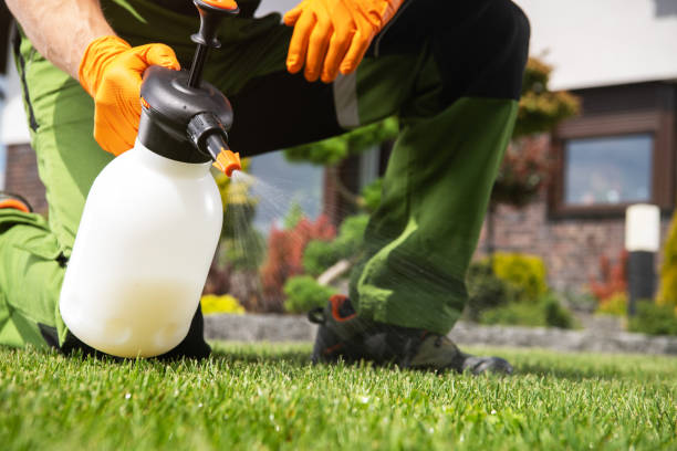 Best Pest Removal Services  in Tekamah, NE