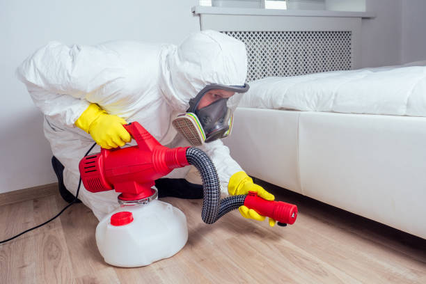 Best Mosquito Control Services  in Tekamah, NE