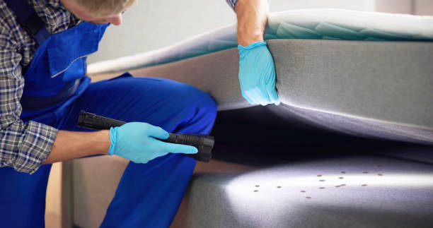 Best Emergency Pest Control  in Tekamah, NE