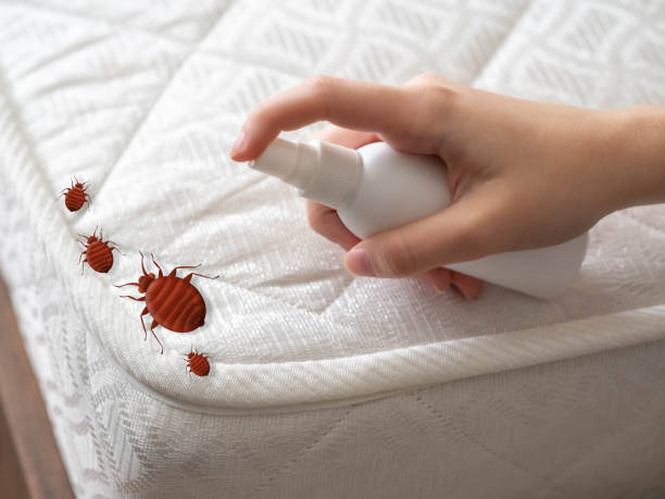 Pest Control for Restaurants in Tekamah, NE