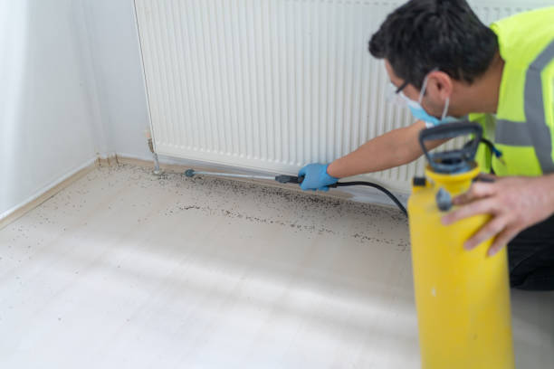 Best Affordable Pest Control Services  in Tekamah, NE